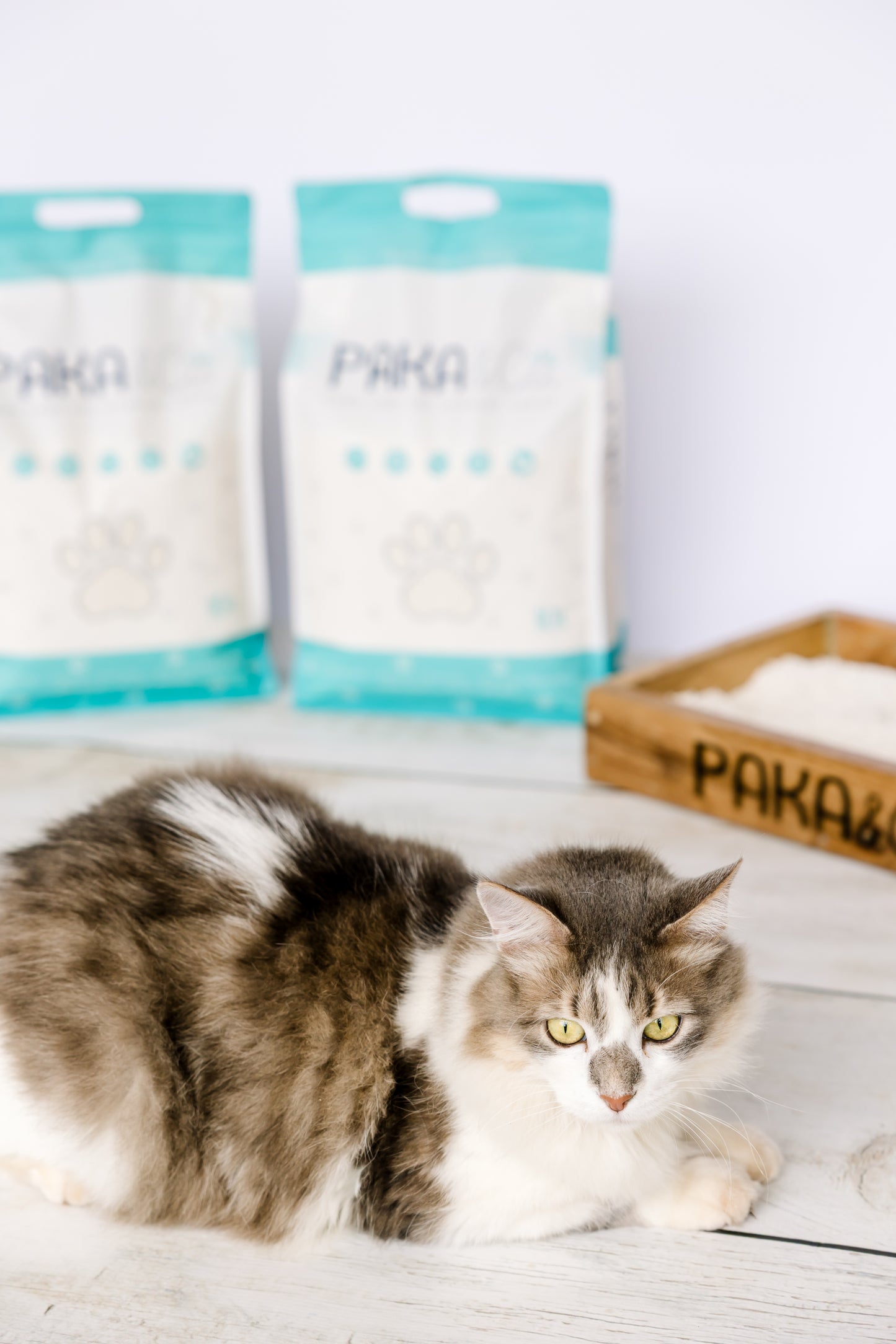Casava Cat Litter