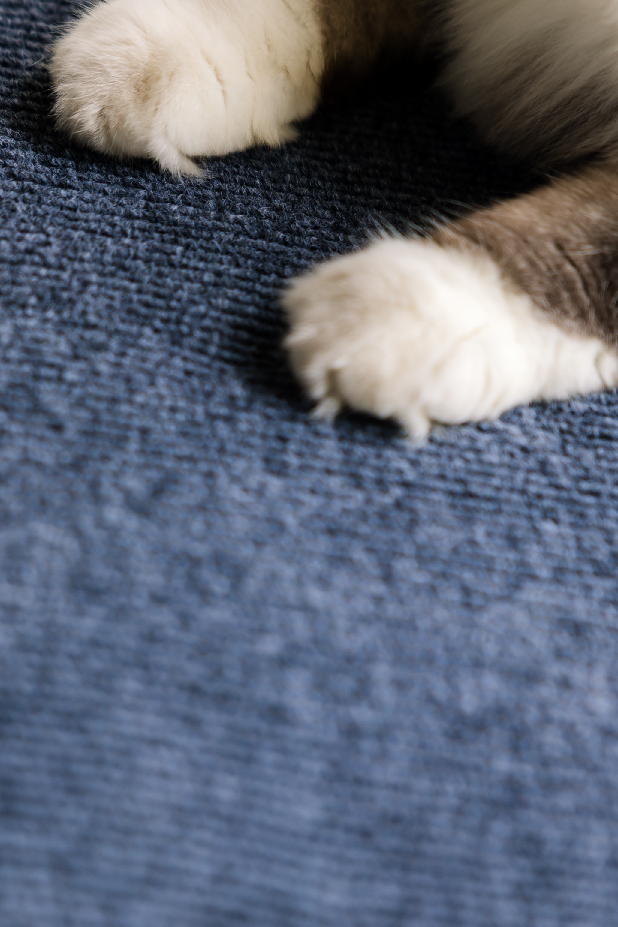 Scratch Mat